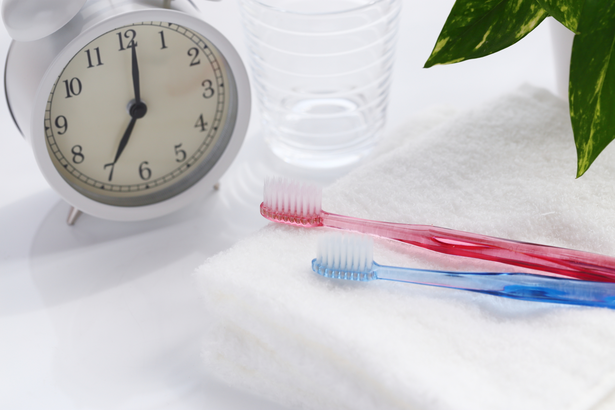 定期検診の必要性｜セントティースデンタルクリニック｜東岸和田駅すぐ岸和田市土生町の歯科・歯医者